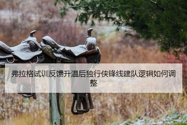 弗拉格试训反馈升温后独行侠锋线建队逻辑如何调整